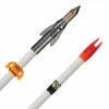 Ankor QT Fiberglass White Arrow By AMS Bowfishing -VanDam Warehouse Shop AMSBowfishingAnkorQTArrows WHT 76346.1597756461