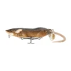 BBZ Bio-Rat 7.5" Topwater Bait By FishLab -VanDam Warehouse Shop BBZBioRatBR FL 31074.1714416948