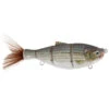 BD Shad 6" Slow Sinking Swimbaits By Duckett 2 BD Shad 6" Slow Sinking Swimbaits By Duckett -VanDam Warehouse Shop DuckettFishingBDShadSwimbaits WB 37558.1711480637