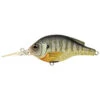 LiveTarget Bluegill Roundbill Crankbait By Koppers