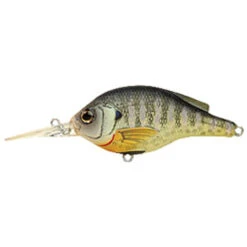 LiveTarget Bluegill Roundbill Crankbait By Koppers