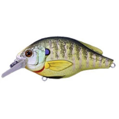 LiveTarget Bluegill Squarebill Crankbait By Koppers