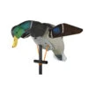 The Lucky HD Decoy By Lucky Duck -VanDam Warehouse Shop LuckyHDDecoy LD 97066.1673377217
