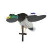 Lucky Junior II 6V Decoy By Lucky Duck 2 Lucky Junior II 6V Decoy By Lucky Duck -VanDam Warehouse Shop LuckyJunior26VDecoy LD 84956.1673375772