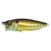 PopMax 1/2 Oz Topwater Bait By Megabass