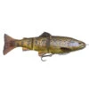 4D Pro Series Line Thru Trout 8" Swimbait By Savage Gear -VanDam Warehouse Shop SavageGear4DProSeriesLineThruTrout Brown 47432.1627584937