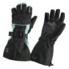 Women's Stella Black/Frost Glove By Striker Ice -VanDam Warehouse Shop StrikerIceWomensStellaGlove BlackFrost 85136.1634223572