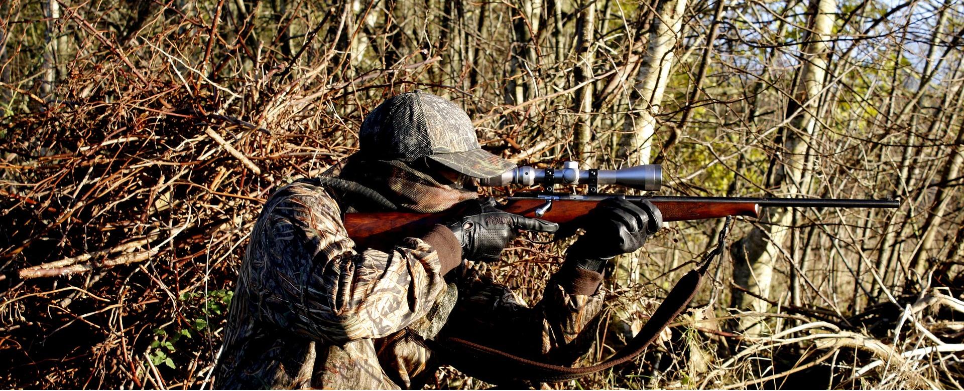 VanDam Warehouse Shop 10 VanDam Warehouse Shop -VanDam Warehouse Shop hunting 3781222 1920